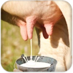 milk cow android application logo